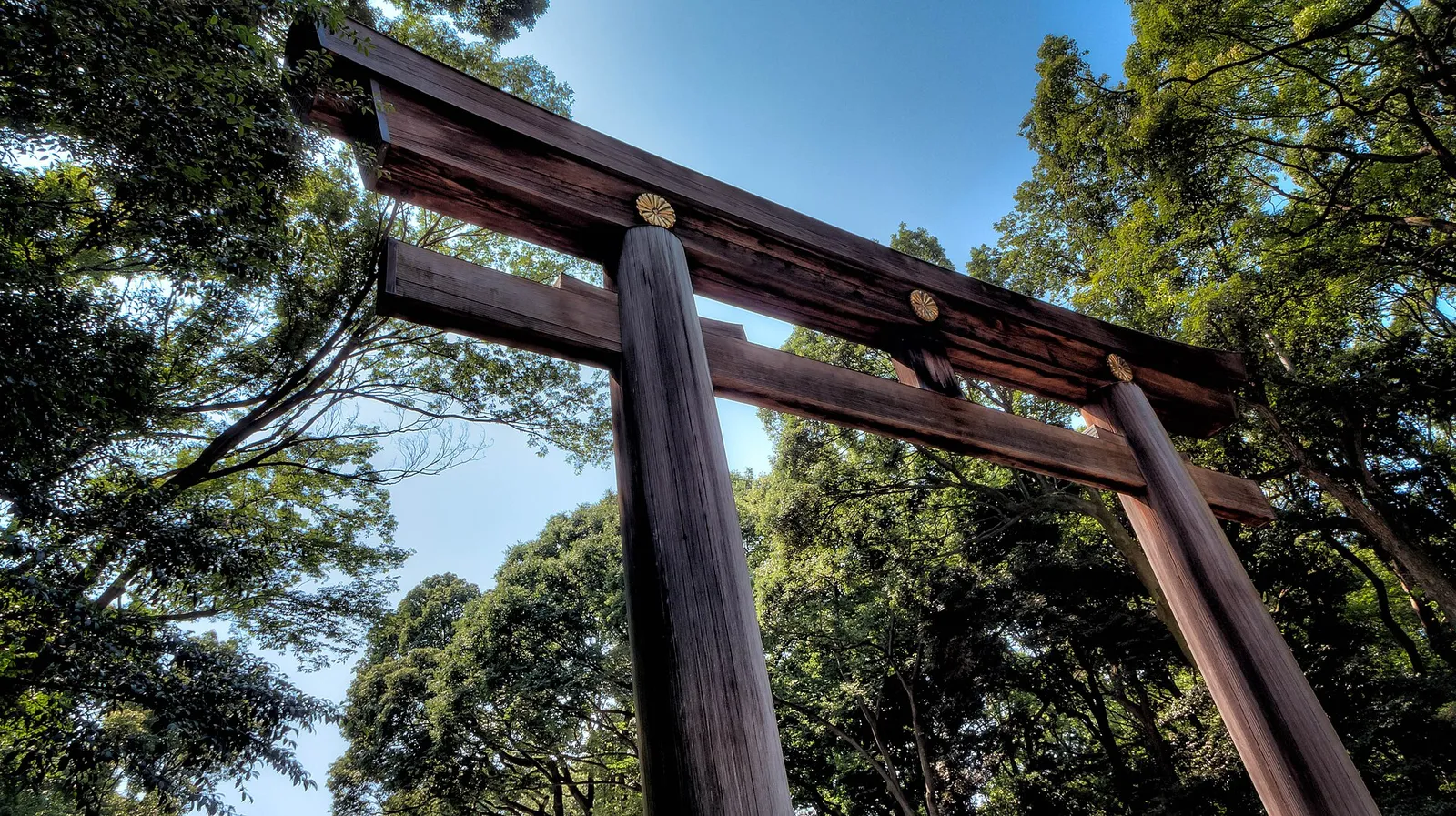 A quiet lantern-lit stone path leading to a Japanese shrine