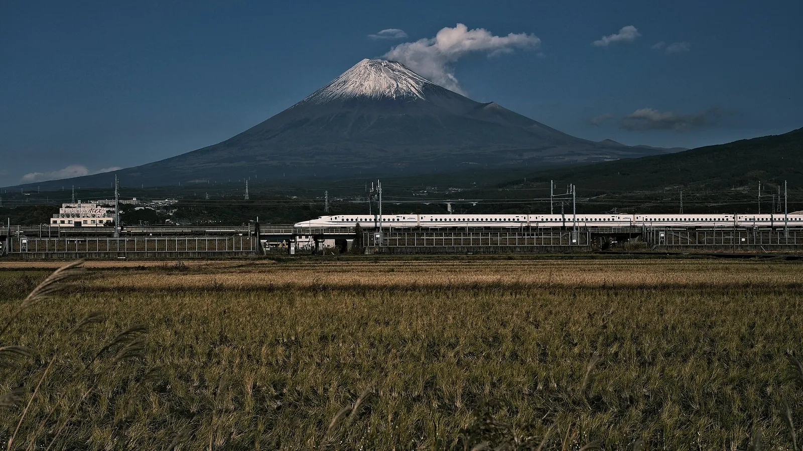 A Shinkansen bullet train departing a station platform on the Tokaido line
