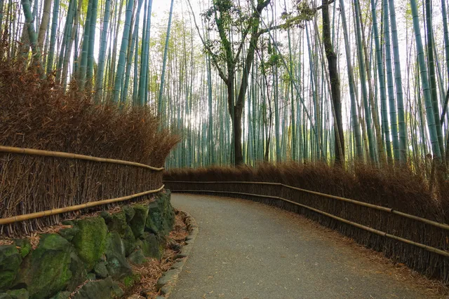 Arashiyama in Kyoto