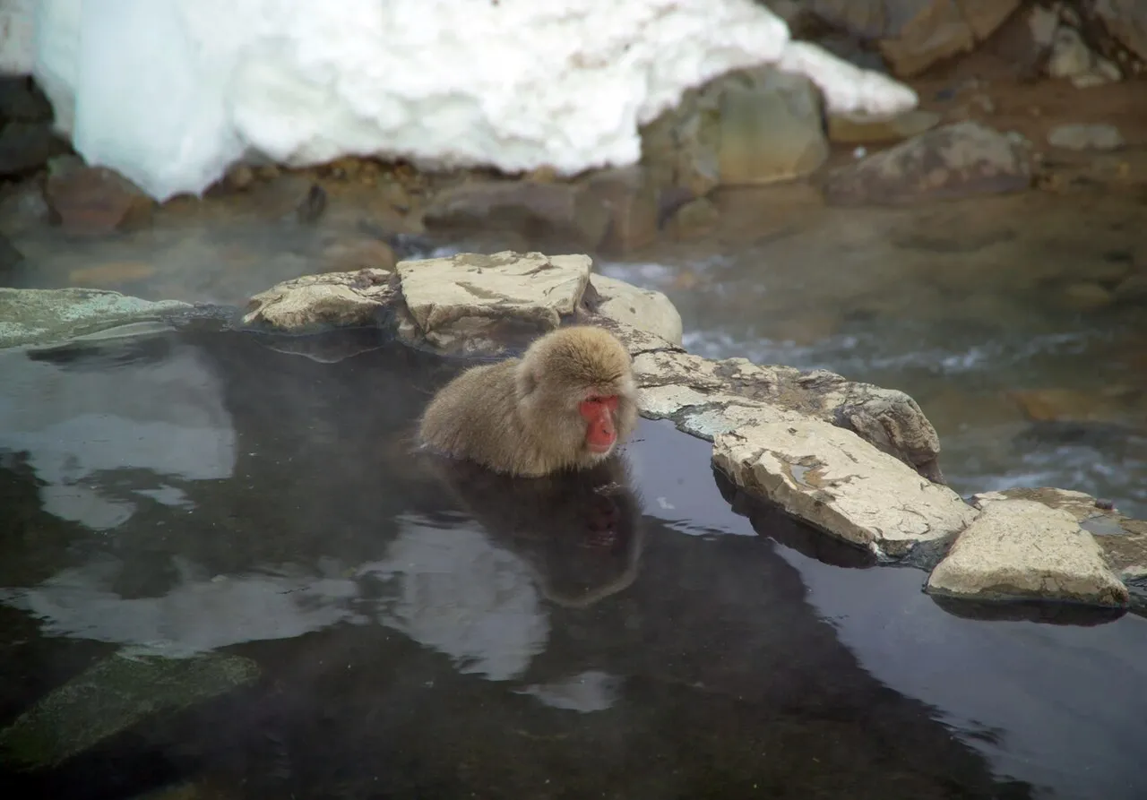 Steam rising from an open-air hot spring bath surrounded by rocks in a mountain setting