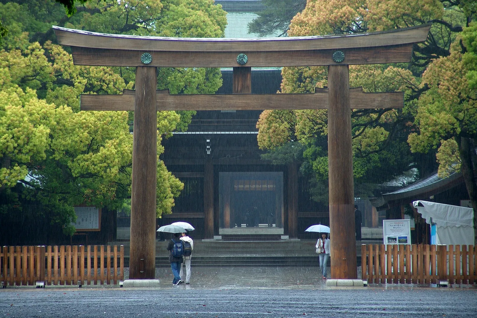 A quiet stone approach path leading through a vermilion torii gate at a Japanese shrine