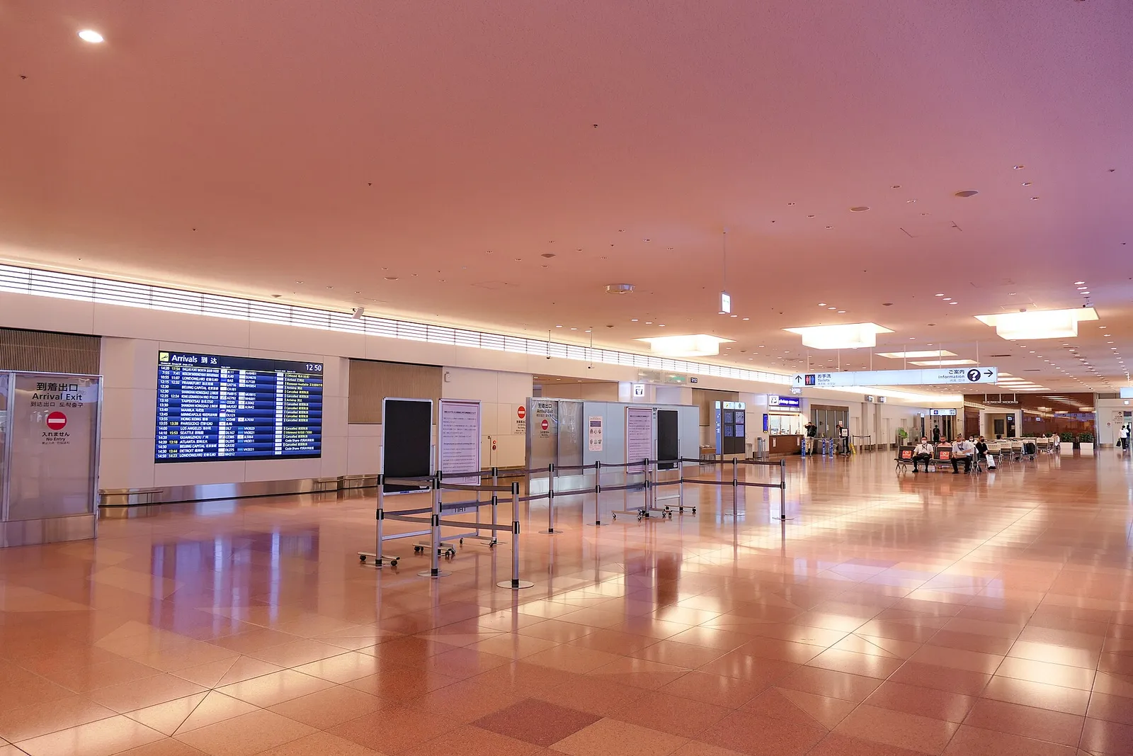 Travelers with luggage queuing at immigration counters in a Japanese airport arrivals hall